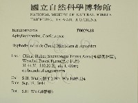 登錄號:F0029418藏品圖，第2張
