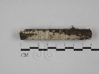 登錄號:F0029418藏品圖，第1張
