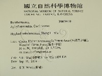 登錄號:F0029419藏品圖，第2張