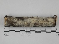 登錄號:F0029419藏品圖，第1張