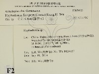 登錄號:F0029420藏品圖，第1張
