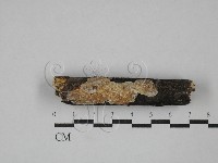 登錄號:F0029421藏品圖，第1張