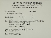 登錄號:F0029423藏品圖，第2張