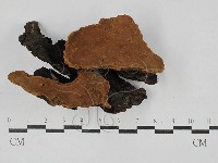 登錄號:F0029431藏品圖，第1張