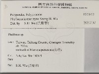 登錄號:F0029432藏品圖，第2張