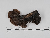 登錄號:F0029432藏品圖，第3張