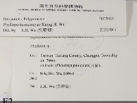 登錄號:F0029433藏品圖，第2張