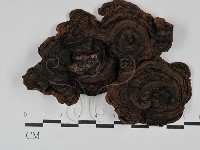 登錄號:F0029433藏品圖，第1張