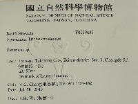 登錄號:F0029435藏品圖，第2張