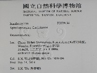 登錄號:F0029436藏品圖，第2張