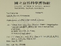 登錄號:F0029437藏品圖，第2張