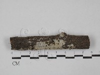 登錄號:F0029437藏品圖，第1張
