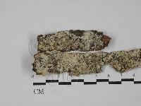 登錄號:F0029438藏品圖，第1張