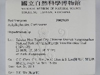 登錄號:F0029439藏品圖，第2張
