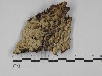 登錄號:F0029439藏品圖，第1張