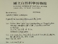 登錄號:F0029440藏品圖，第2張