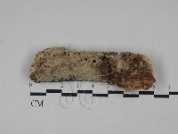 登錄號:F0029440藏品圖，第1張