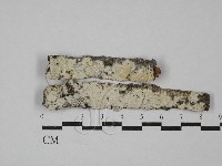 登錄號:F0029444藏品圖，第1張