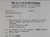 骨皮菌屬藏品圖，第2張