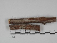 登錄號:F0029449藏品圖，第1張