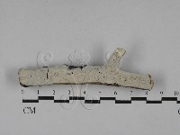 登錄號:F0029450藏品圖，第1張