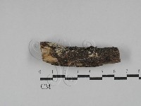 登錄號:F0029455藏品圖，第1張
