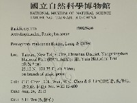 登錄號:F0029456藏品圖，第2張