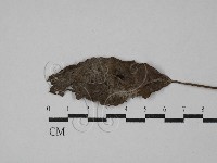 登錄號:F0029457藏品圖，第1張