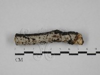 登錄號:F0029458藏品圖，第1張