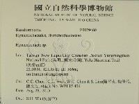 刺革菌屬藏品圖，第2張