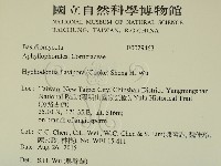 登錄號:F0029463藏品圖，第2張