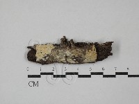 登錄號:F0029463藏品圖，第1張