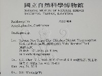 登錄號:F0029464藏品圖，第2張