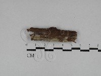 登錄號:F0029464藏品圖，第1張