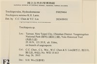 登錄號:F0029464藏品圖，第3張