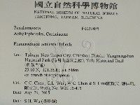 登錄號:F0029465藏品圖，第2張