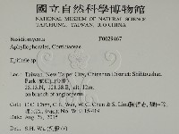 登錄號:F0029467藏品圖，第2張