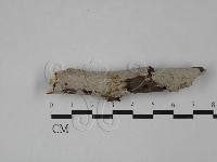 登錄號:F0029467藏品圖，第1張