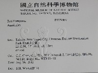 登錄號:F0029469藏品圖，第2張