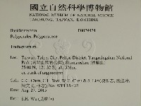 附毛菌屬藏品圖，第2張