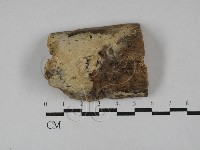 登錄號:F0029475藏品圖，第1張