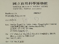 登錄號:F0029477藏品圖，第2張