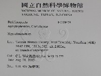 登錄號:F0029479藏品圖，第2張