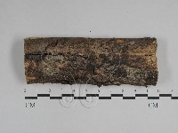 登錄號:F0029479藏品圖，第1張