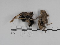 登錄號:F0029481藏品圖，第3張