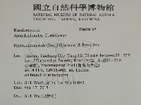 登錄號:F0029485藏品圖，第2張