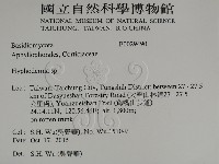 絲皮菌屬藏品圖，第2張