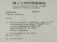 登錄號:F0029492藏品圖，第2張