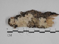 登錄號:F0029493藏品圖，第1張