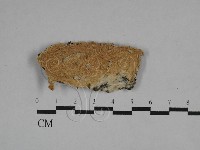 登錄號:F0029494藏品圖，第1張